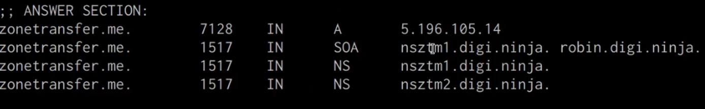 Dig utility DNS record enumeration output